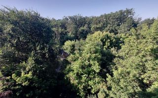 Apartament 3 Camere | Băneasa | Herăstrău - Poză 10