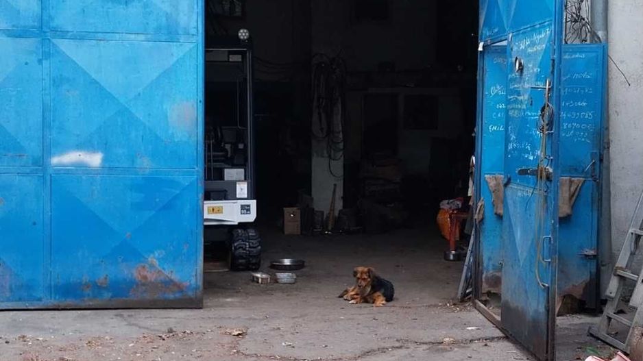 Constructie hala garaj plus teren ,   300 mp,  Sos. Fundeni, Stradal - Poză 2