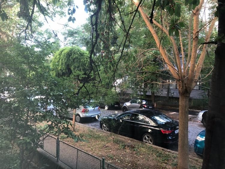 Elisabetin | 2 Camere | Centrala Proprie | Pet-Friendly - Poză 9