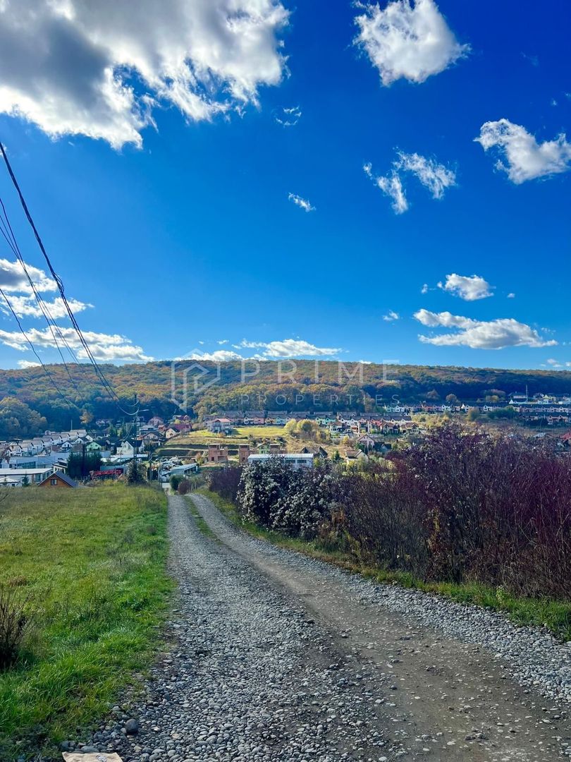 Teren cu potențial multiplu de dezvoltare – Corunca, E60, 10.000 mp - Poză 3