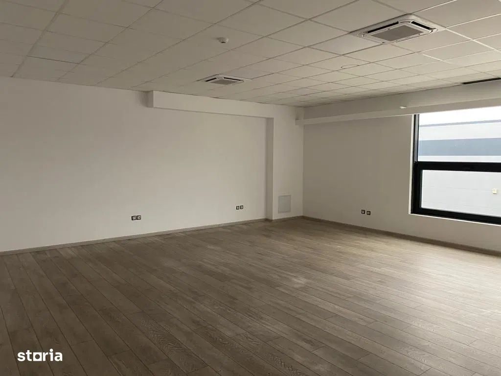 Spatiu industrial de inchiriat - Poză 7