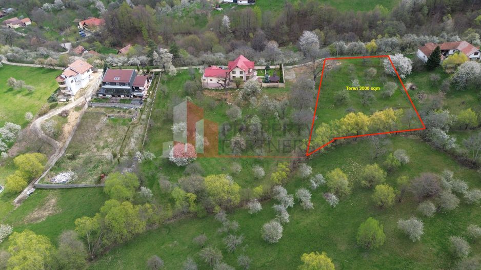 TEREN PREMIUM ÎN BRAN – SOHODOL | 3000 MP CU PANORAMĂ EXCEPȚIONALĂ - Poză 3