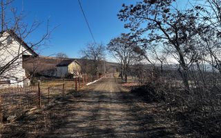 Oportunitate investitie! Teren extravilan Valea Fanatelor, 1ha - Poză 3