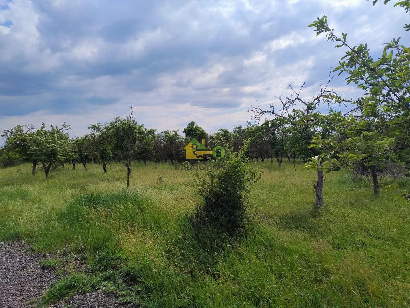 teren intravilan in sag 1271 mp - Poză 4