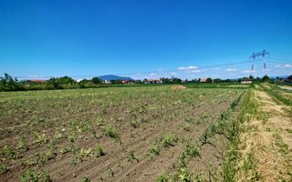 Teren intravilan in Stupini aproape de Centrul Cartierului 856 mp - Poză 1