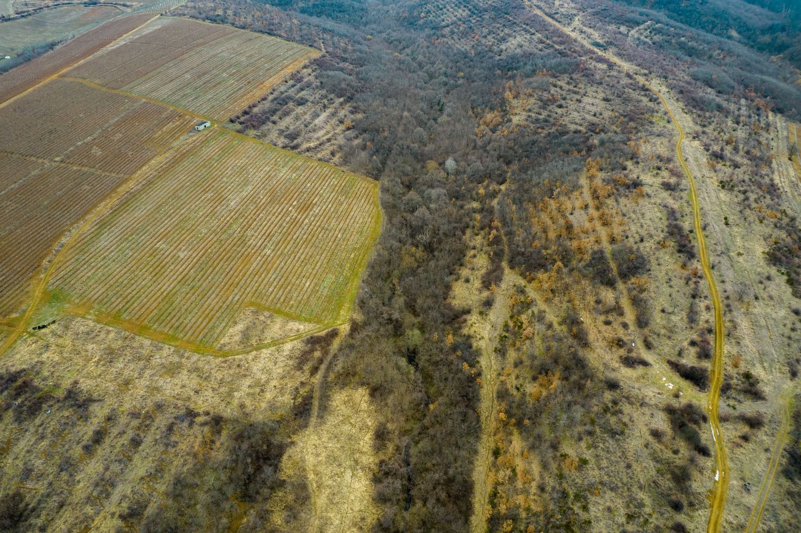 Teren pe deal în Miniș - Poză 7