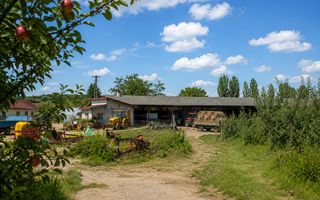 Activ agricol integrat | 67,5 ha | Oportunitate investițională - Poză 2