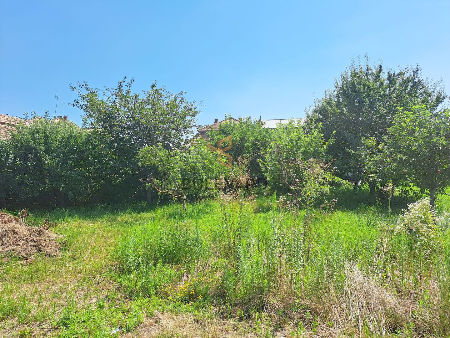 Comision 0! Casa individuala, teren 2363 mp, cartier Poiana! - Poză 8