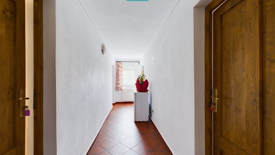 Pensiune în stațiunea Moneasa - Poză 11