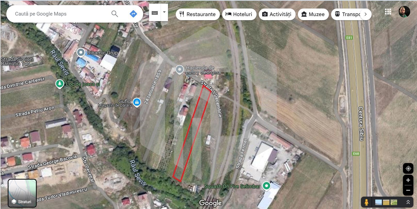 Teren intravilan de vanzare in Selimbar- 2300 MP - Poză 1