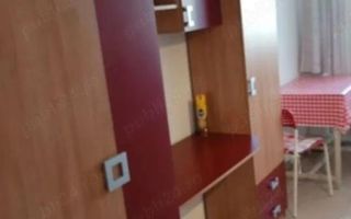 Garsoniera Dr Taberei-Tudor Vladimirescu T460 - Poză 5