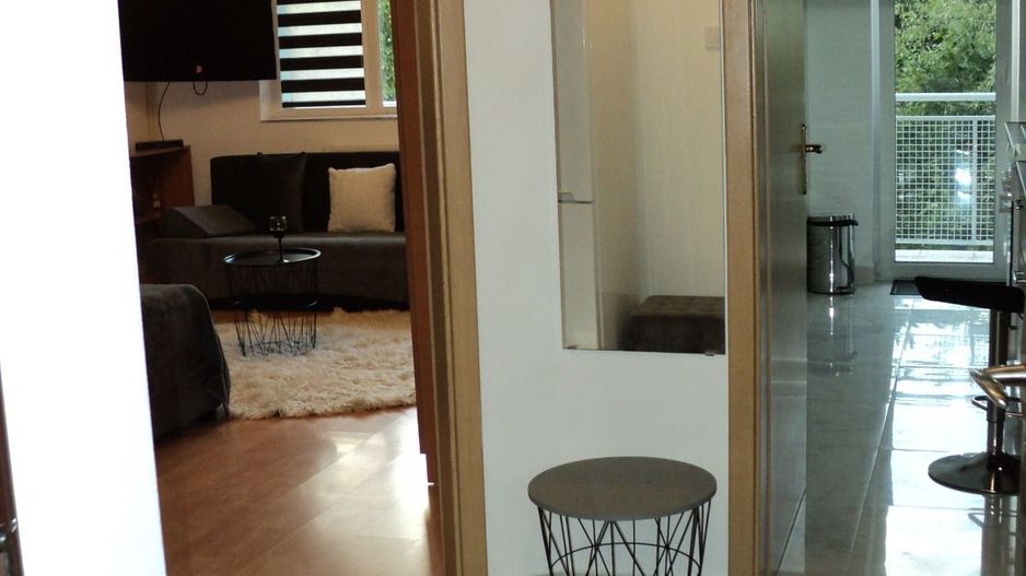 Apartament cu o camera decomandat | 45 mp + 12 mp terasa | Zorilor | UMF | USAMV - Poză 5