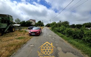 Teren intravilan in Dudovicesti , Simnicul de Jos - Poză 4