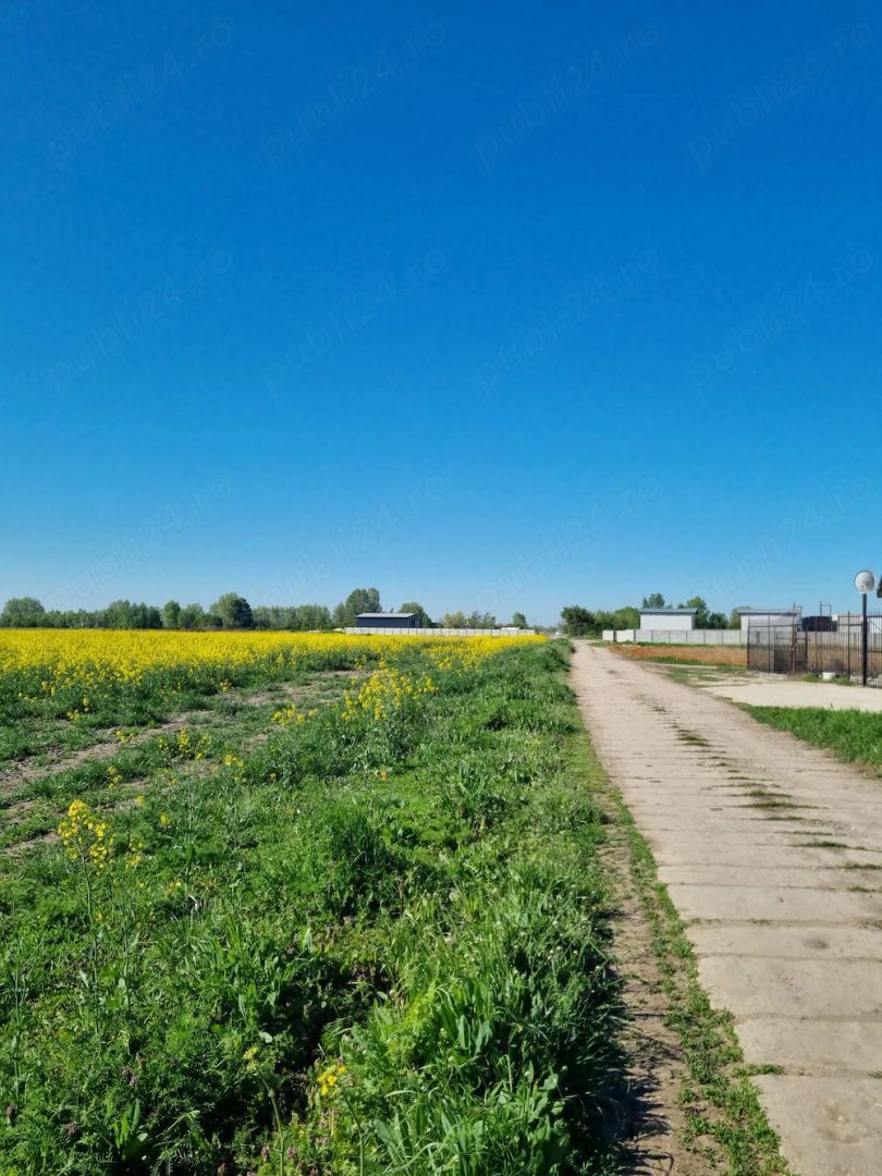Investitie- Dezvoltare imobiliara - Poză 2