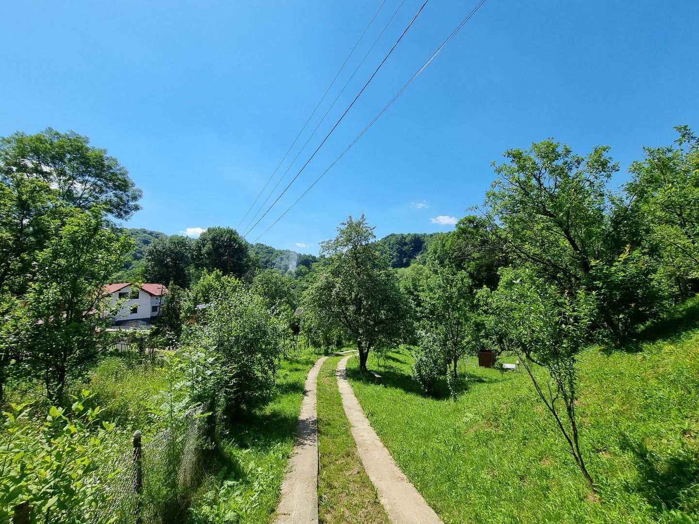 Casa de la marginea padurii! - Poză 4