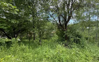 Teren intravilan 1859 mp Plaiu Provita de Sus la asfalt ! - Poză 12