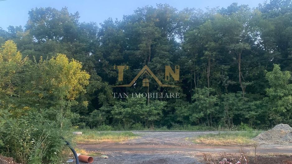 Teren Intravilan Dumbrăvița ,pretabil Duplex - Poză 5