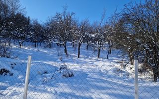 Teren intravilan Valea Jelnei | Parcelabil | 25 ari - Poză 3