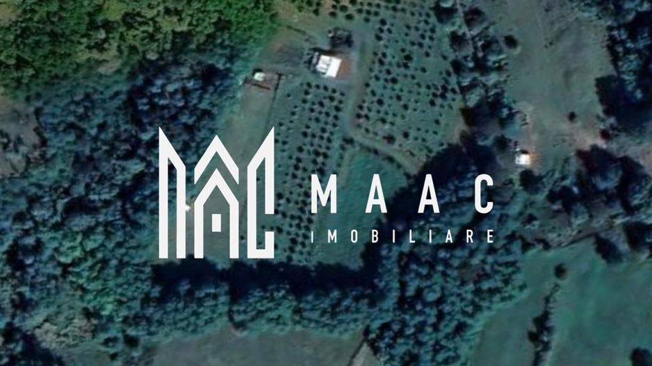 Teren extravilan 61.000 mp | Veseud, Sibiu | plantație aluni, trufe - Poză 3
