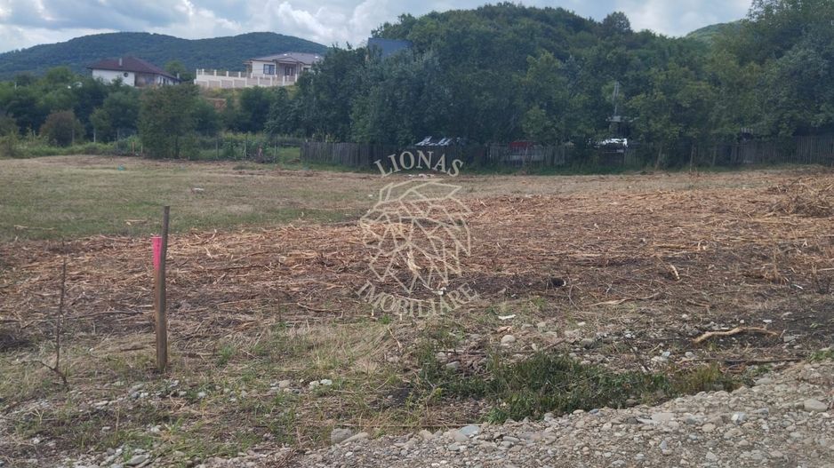 Teren 4761 mp-Parcelabil-pretabil investitie, casa-Viisoara - Poză 1