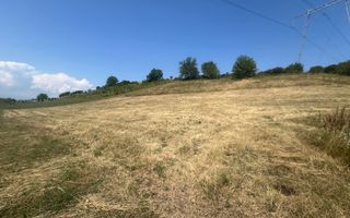 Teren Intravilan |5.000 MPU | Șura-Mare | - Poză 6