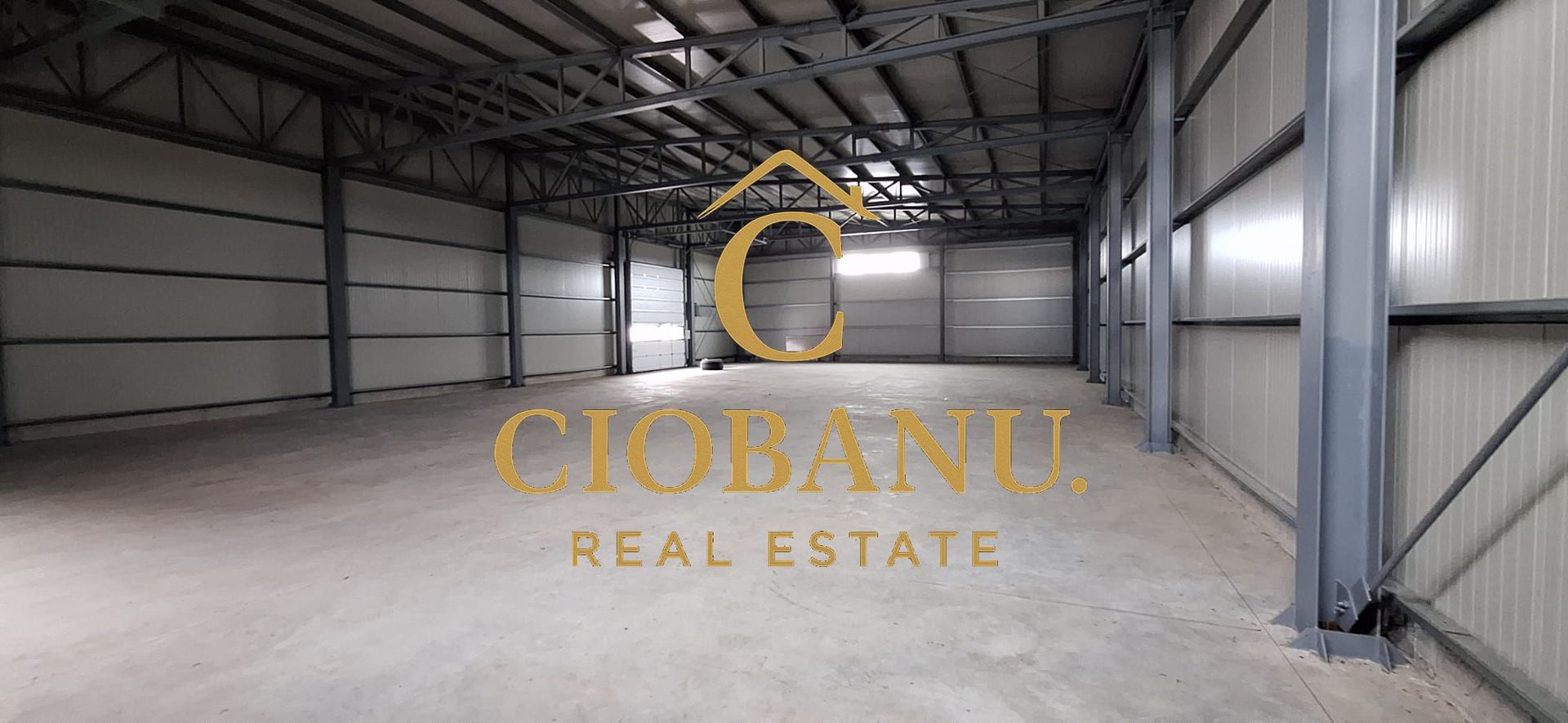 Hale industriale+Cladire de Birouri de inchiriat zona Aeroport - Poză 9