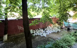 Apartament cu 2 camere 49,59 mp - cl. Grivitei - Gara de Nord - comision 0% - Poză 11