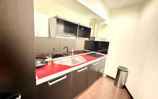 Apartament 2 camere de Închiriat Herastrau cu parcare+boxa - Poză 8