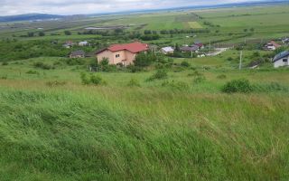 🌳TEREN INTRAVILAN CHIPEREȘTI 440 MP - 12.000 EURO 🏡 - Poză 3
