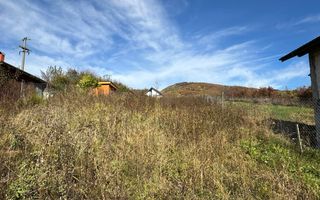 Teren intravilan - 1020 mp - Vladesti Priporu - Poză 3