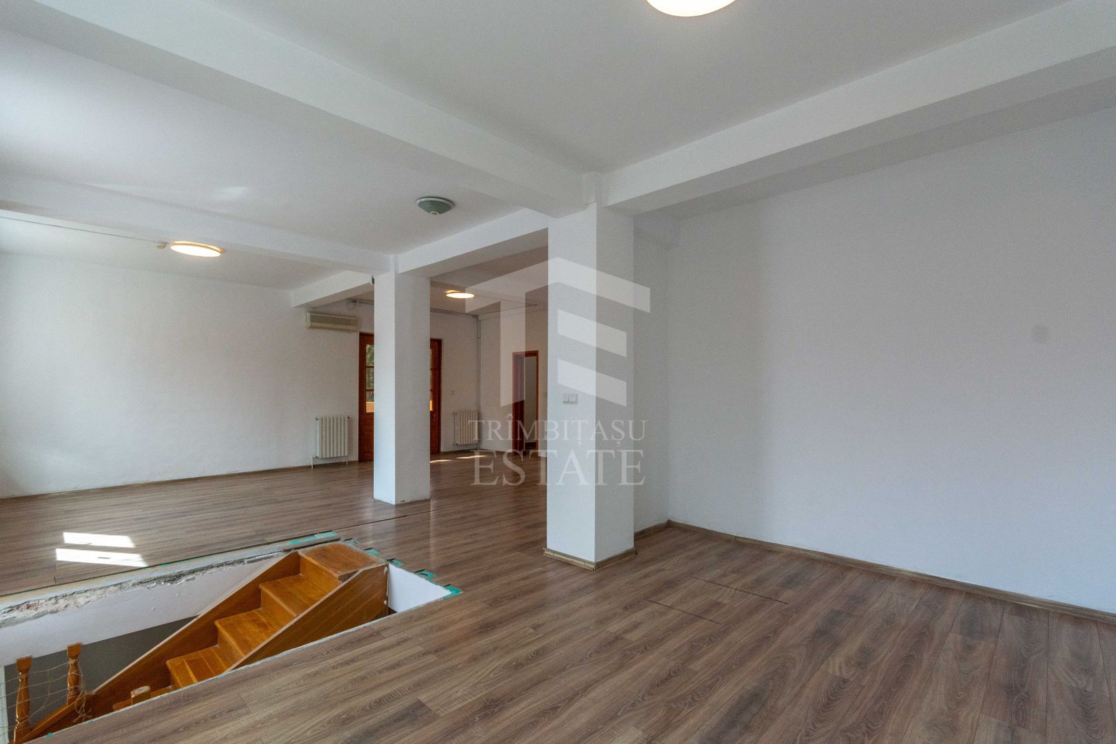 Aviatiei | Smaranda Braescu | Vila reprezentativa de inchiriat - Poză 25
