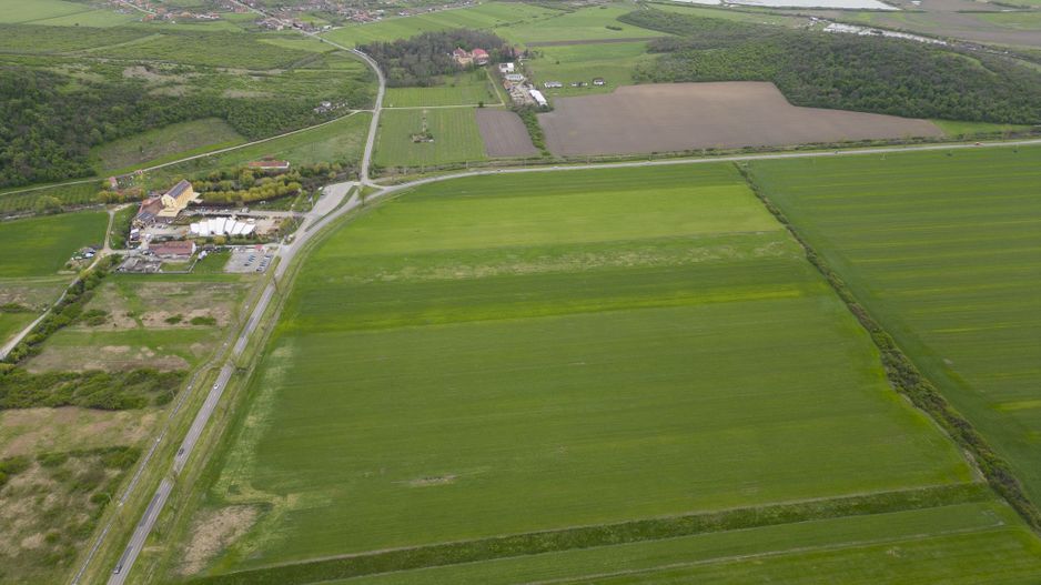 Teren extravilan de 22500mp Zona Ineu - Poză 2