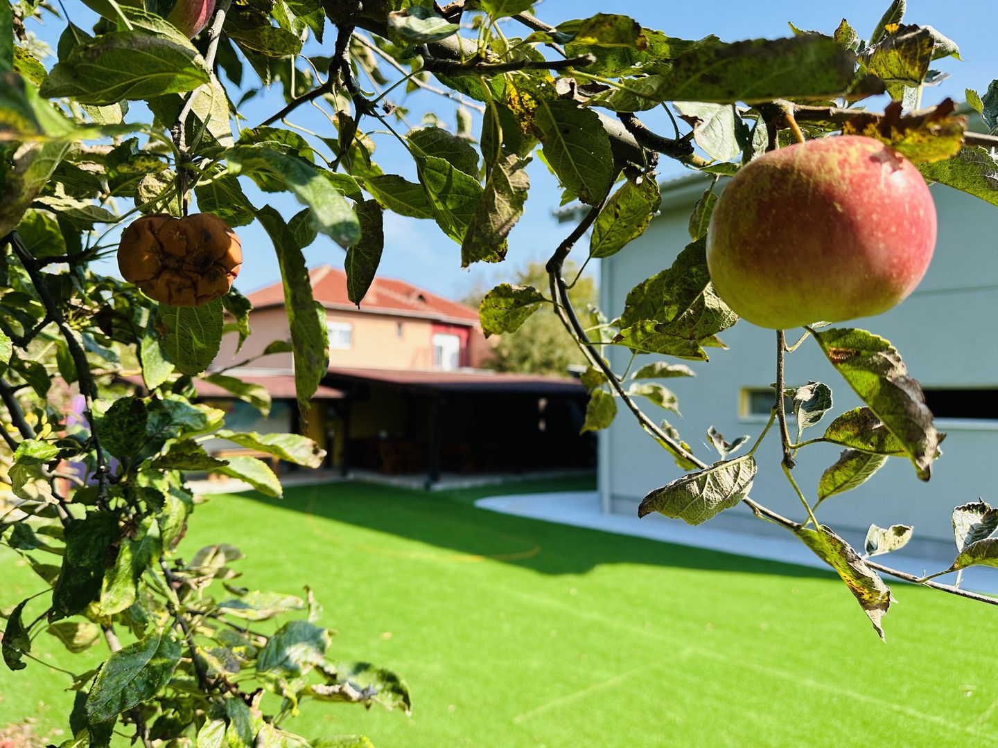 Oferta Inchiriata - SAD | Birouri - Afterschool | 10 camere, 5 bai - Poză 12