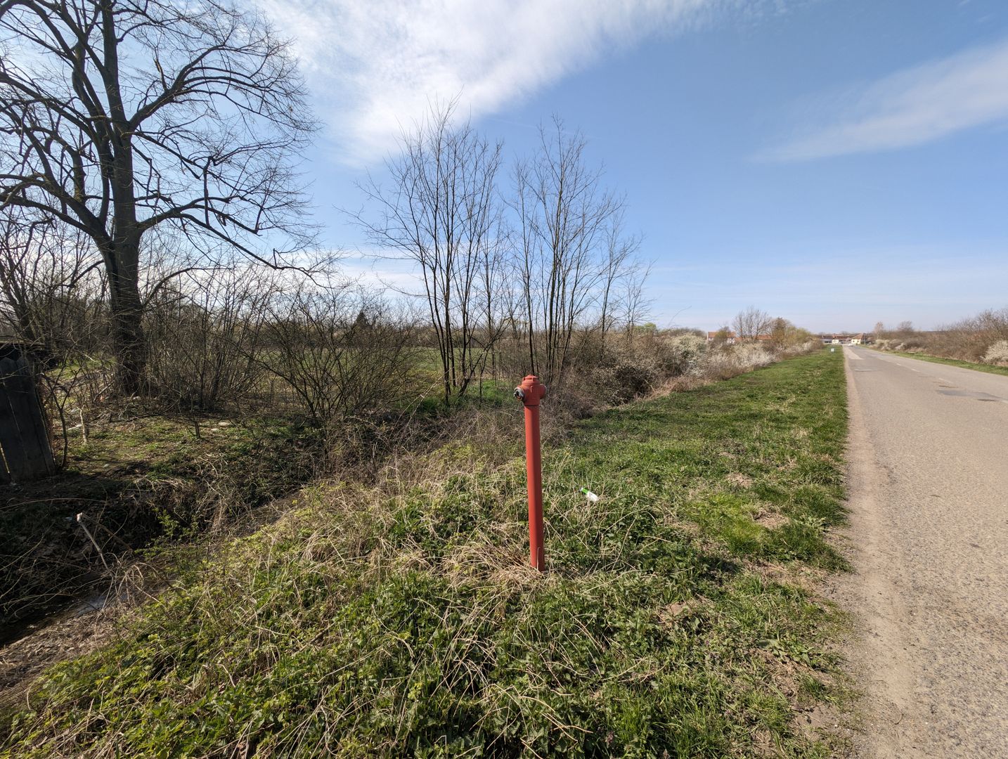 Teren intravilan Balint 22.500 mp - Poză 9