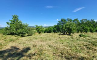Teren de vânzare, Ciurea – 771 mp, intravilan, utilități - Poză 5