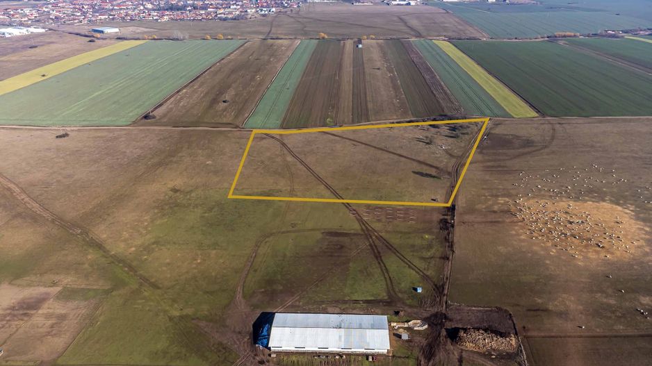 Teren agricol extravilan cu potențial de dezvoltare – 41.600 mp – Arad - Poză 3