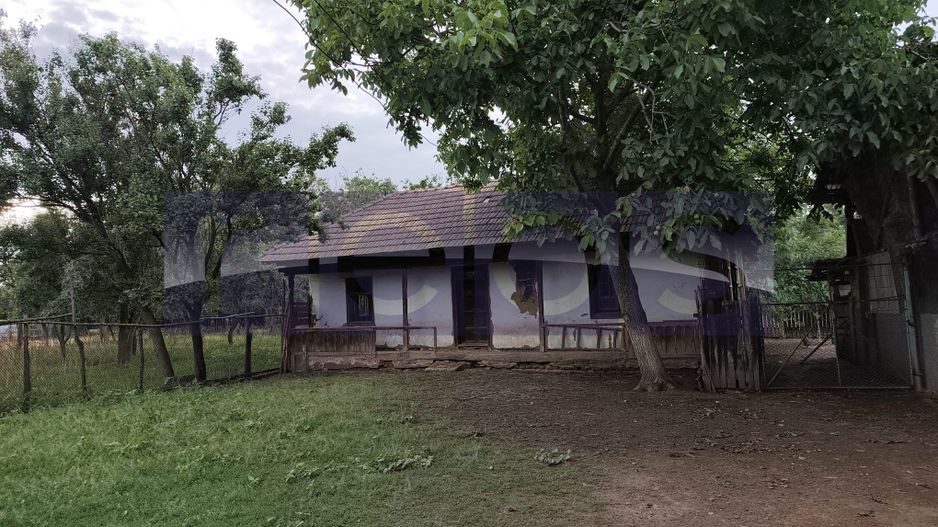 VANZARE CASA | TEREN 2.500 MP | LIVADA SI GRADINA | COMUNA BEUCA, TELEORMAN - Poză 12