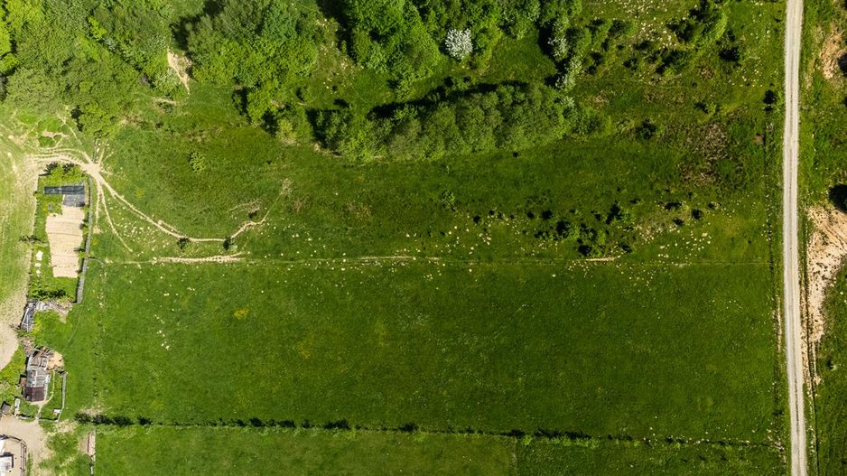 5.700 mp teren intravilan, in incantare montana, Rasnov, Glajerie, Brasov - Poză 7