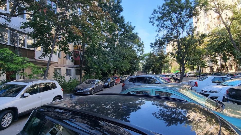Timisoara Profii - Poză 1