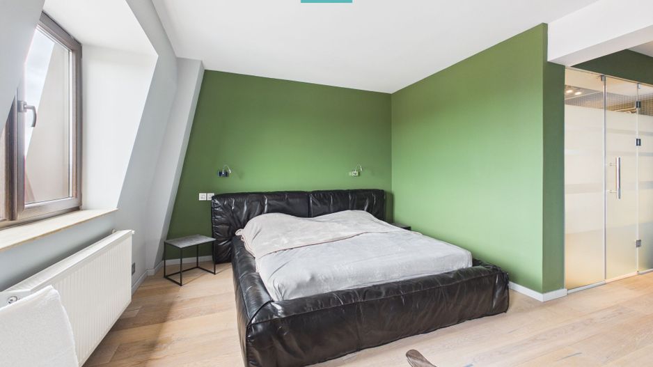 Studio luminos si spatios, Mihai Bravu - Mosilor - Poză 5