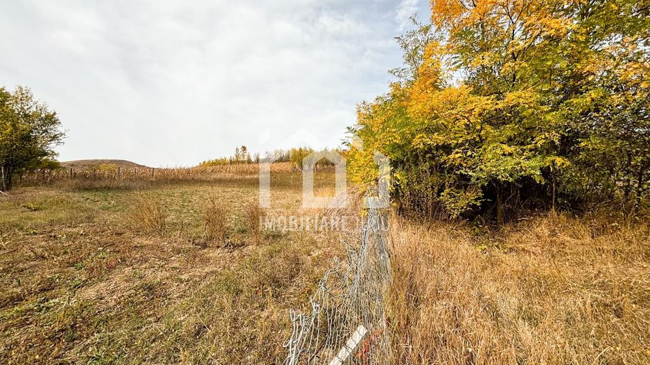 1.838 mp Construibil | Front 25,6 m | Zonă Rezidențială – Gădălin - Poză 4