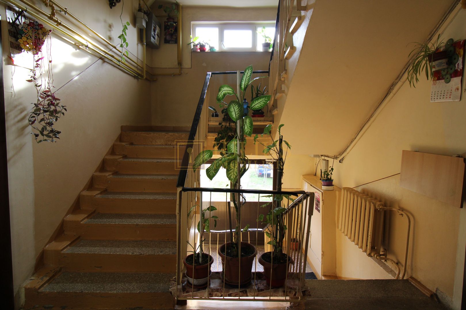 Complex studentesc/stadion/spital Judetean, mobilat modern. Disponibil! - Poză 15