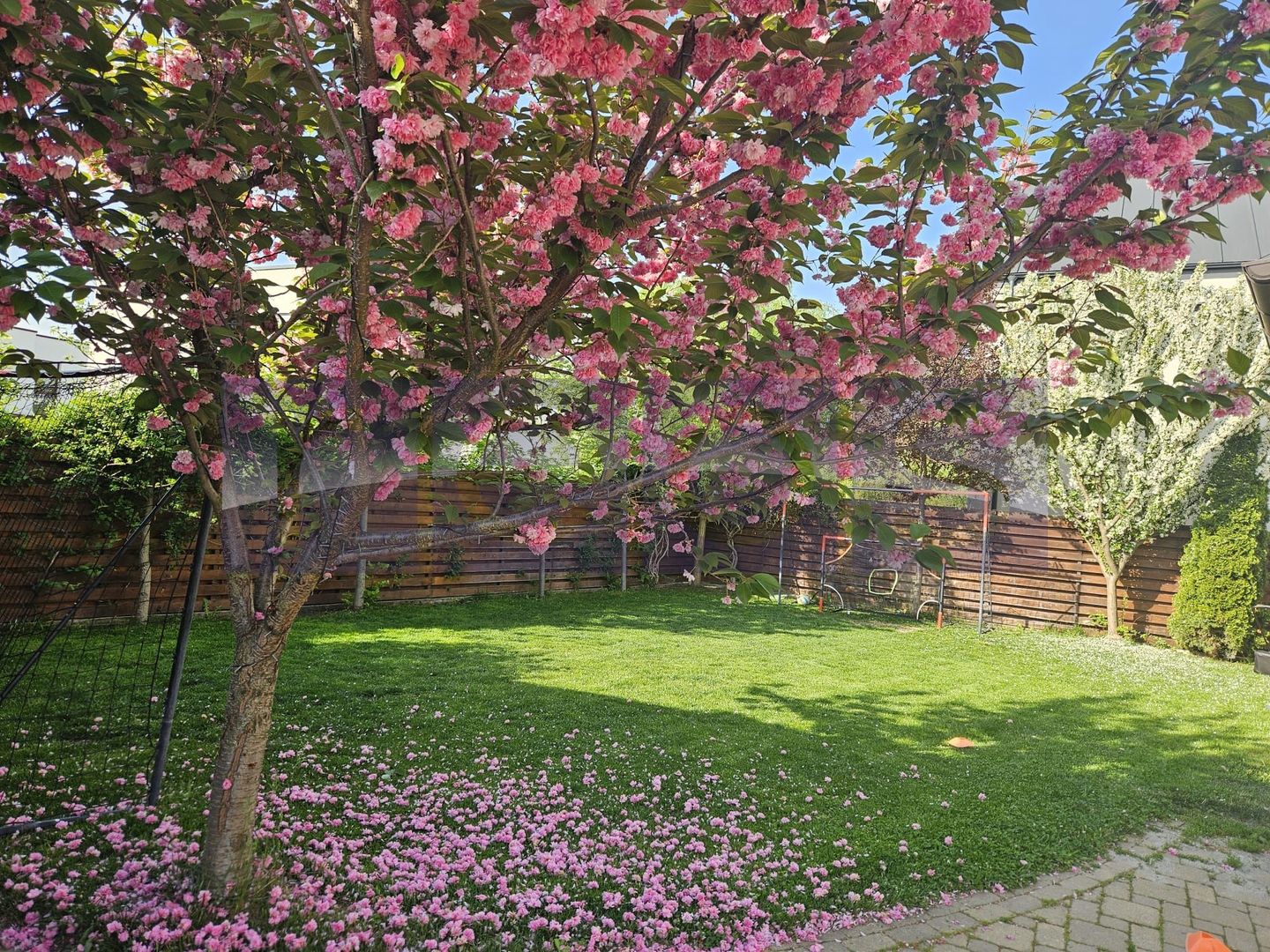 VANZARE 4 CAMERE | 550 MP TEREN | CORBEANCA - Poză 27