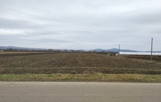 Teren intravilan 2500 mp-pretabil case, pensiune-Zona Crama Jelna