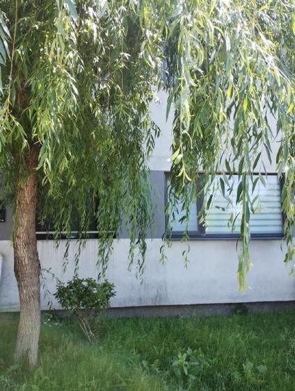 Garsoniera mobilata - Poză 11
