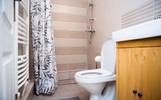 Apartament 3 camere | Curte | Modern | Renovat | Central - Poză 7