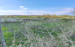 Mogosoaia, teren 792 mp, vedere la lac, utilitati, statie STB la 750m - Poză 4