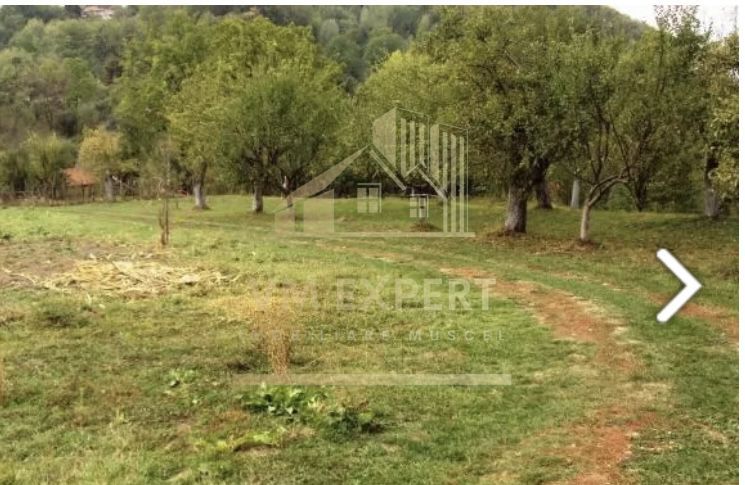 CASA 4 CAMERE, TEREN 8387 MP, POIENARII DE MUSCEL, ARGES - Poză 12