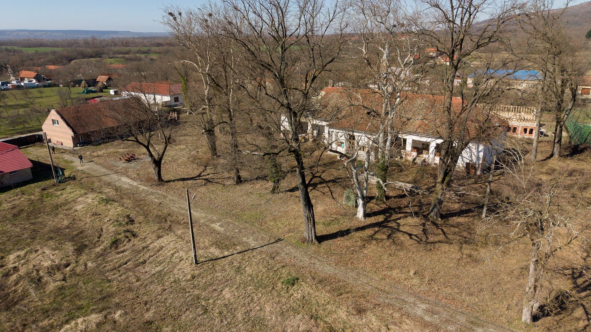 Conac nobiliar de secol XIX cu 8 camere în Maciova - Poză 3