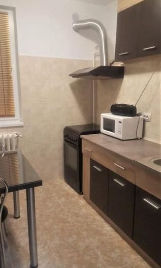 Garsoniera Nitu Vasile-Piata Sudului - Poză 6